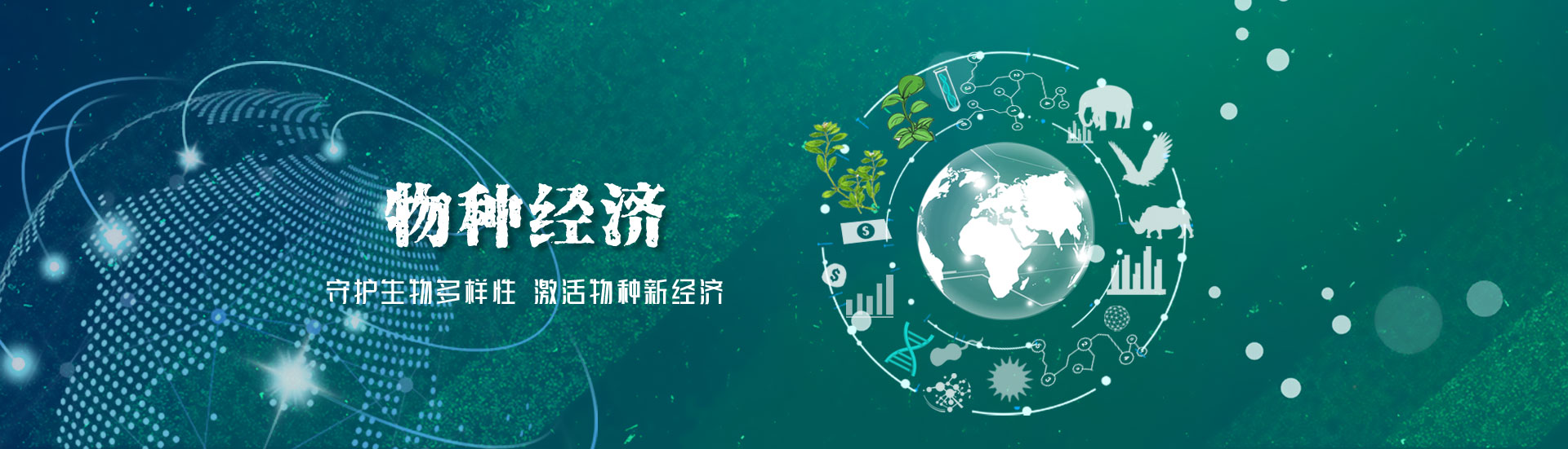 濕地風(fēng)光