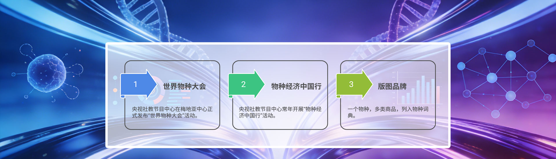 濕地風(fēng)光